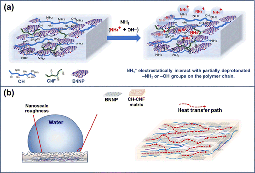 image file: d5ma00702j-f10.tif