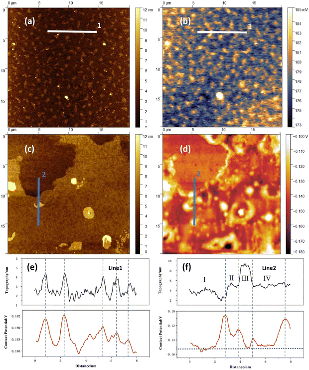 image file: d5ma00730e-f5.tif