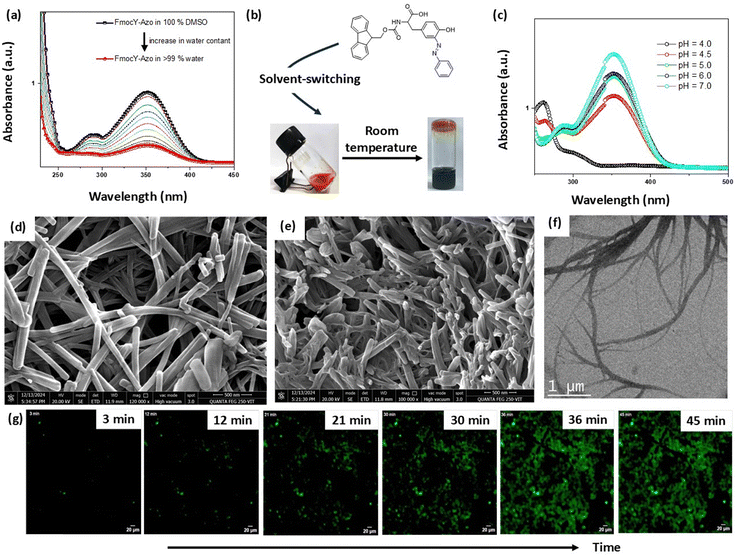 image file: d5ma00736d-f3.tif