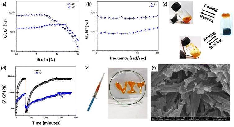 image file: d5ma00736d-f4.tif