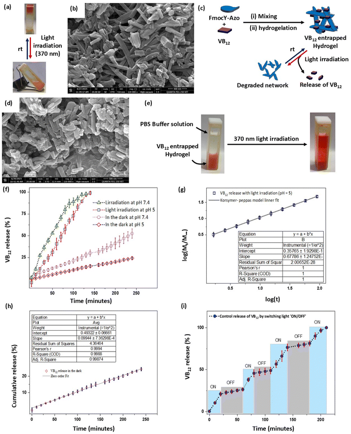 image file: d5ma00736d-f5.tif