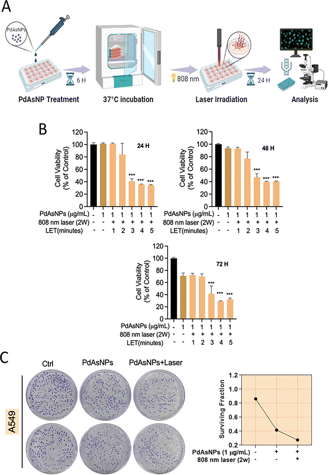 image file: d5ma00784d-f4.tif