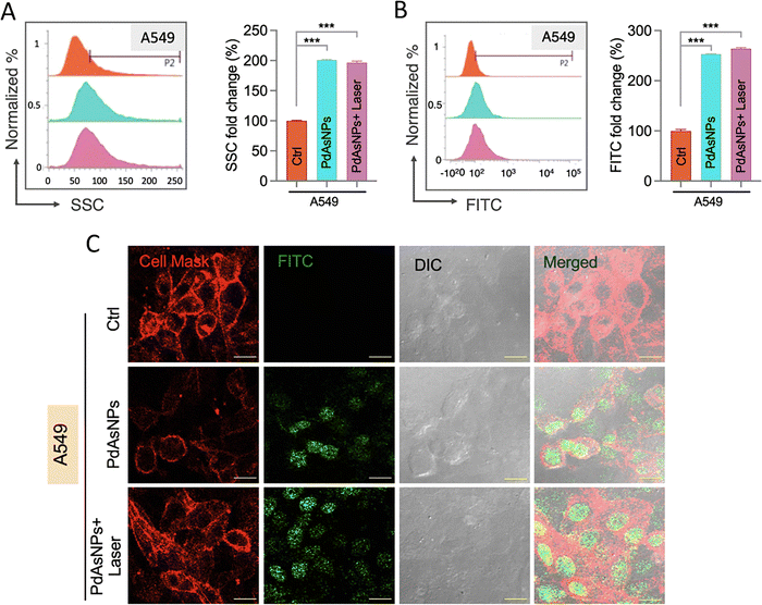 image file: d5ma00784d-f5.tif