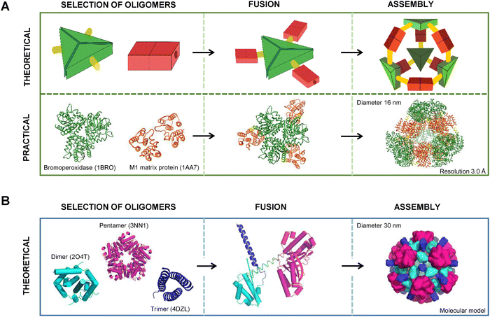 image file: d5ma00792e-f1.tif