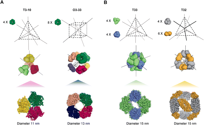 image file: d5ma00792e-f2.tif