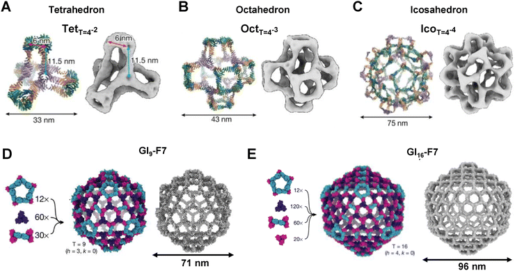 image file: d5ma00792e-f4.tif