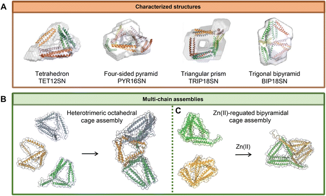 image file: d5ma00792e-f6.tif