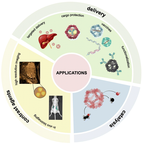 image file: d5ma00792e-f7.tif