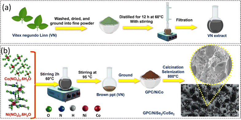 image file: d5ma00799b-f1.tif