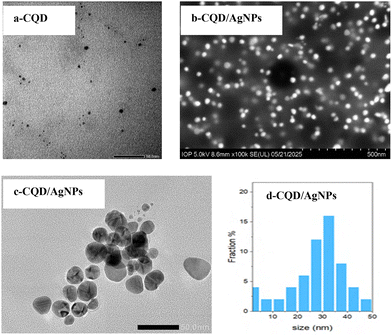 image file: d5ma00802f-f4.tif