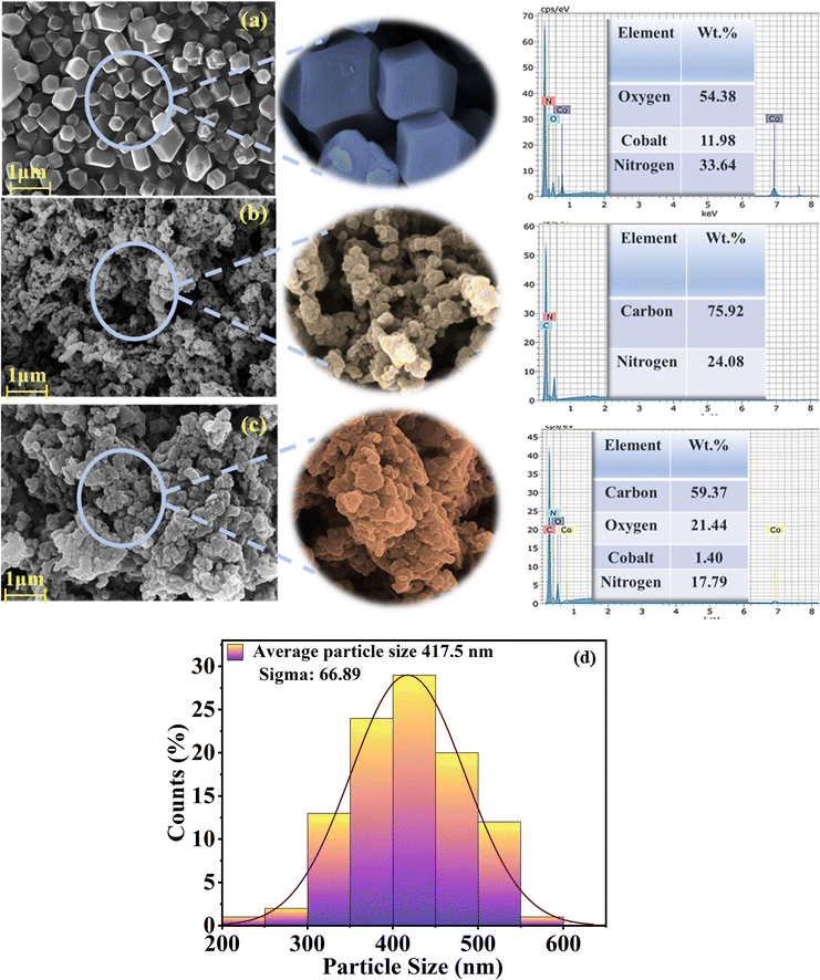 image file: d5ma00819k-f6.tif
