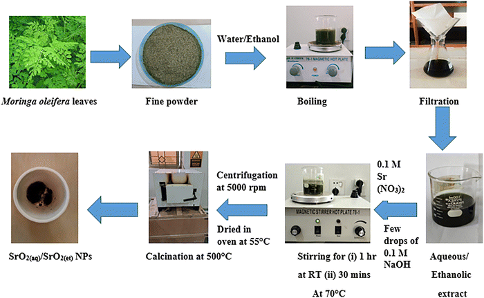 image file: d5ma00839e-s1.tif
