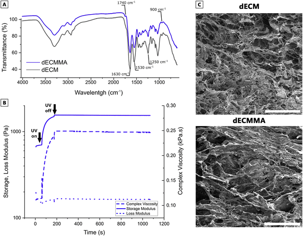 image file: d5ma00860c-f3.tif