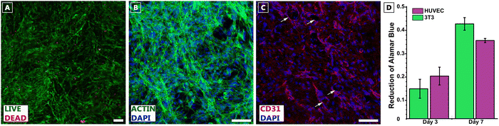 image file: d5ma00860c-f4.tif