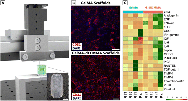 image file: d5ma00860c-f5.tif