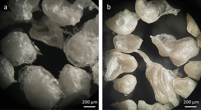 image file: d5ma00864f-f2.tif