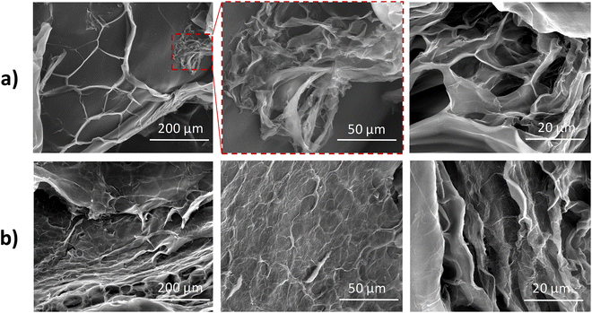 image file: d5ma00864f-f3.tif