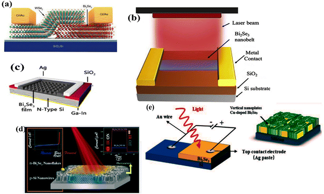image file: d5ma00876j-f15.tif