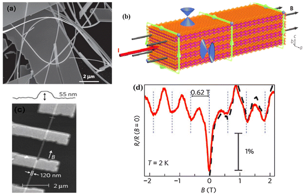 image file: d5ma00876j-f2.tif