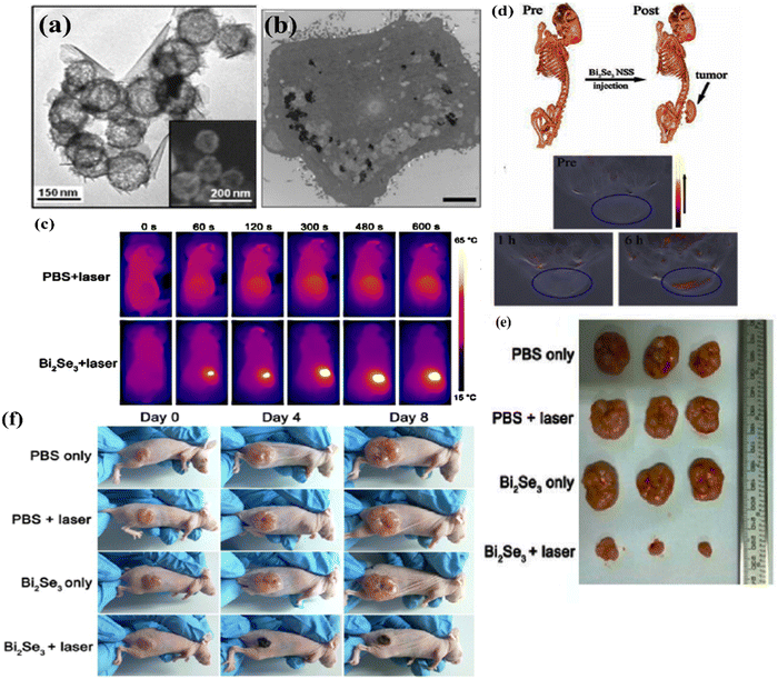 image file: d5ma00876j-f27.tif