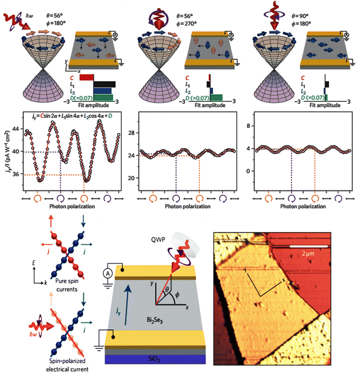 image file: d5ma00876j-f3.tif