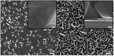 image file: d5ma00876j-f9.tif