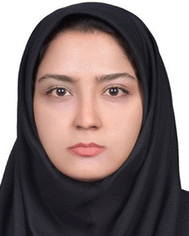 image file: d5ma00876j-p1.tif