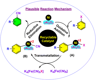 image file: d5ma00879d-s2.tif