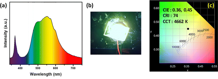 image file: d5ma00905g-f9.tif