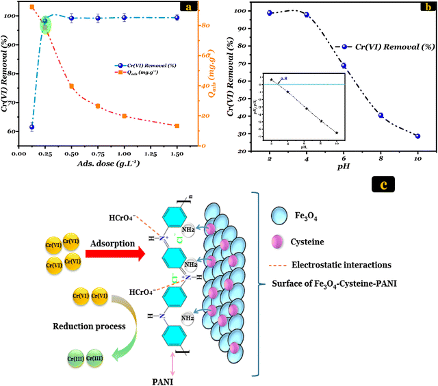 image file: d5ma00917k-f3.tif