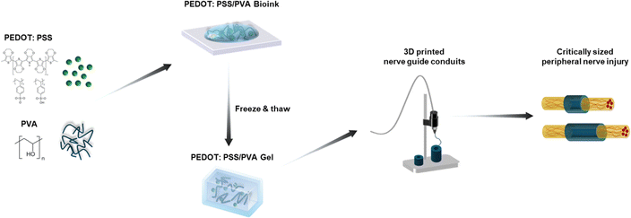 image file: d5ma00932d-f1.tif