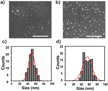 image file: d5ma01014d-f1.tif