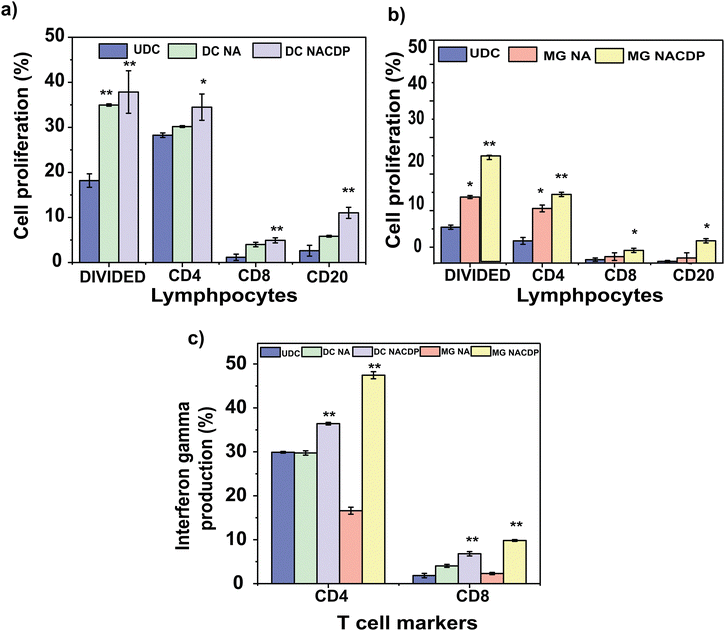 image file: d5ma01014d-f5.tif