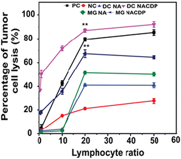 image file: d5ma01014d-f6.tif