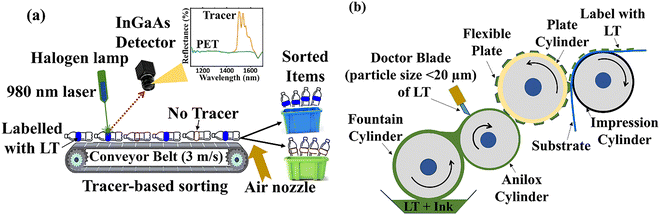image file: d5ma01022e-f1.tif