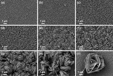 image file: d5ma01024a-f3.tif