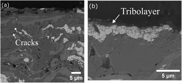 image file: d5ma01042j-f10.tif