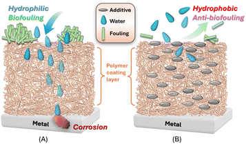 image file: d5ma01048a-f1.tif