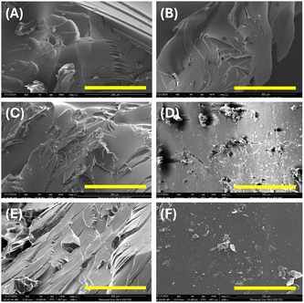 image file: d5ma01048a-f5.tif