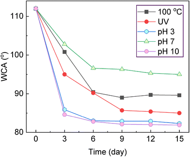 image file: d5ma01048a-f7.tif