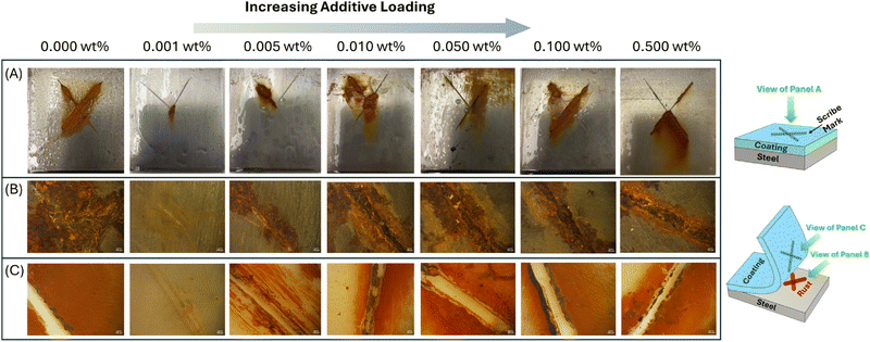 image file: d5ma01048a-f8.tif