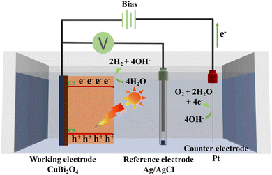 image file: d5ma01065a-f9.tif