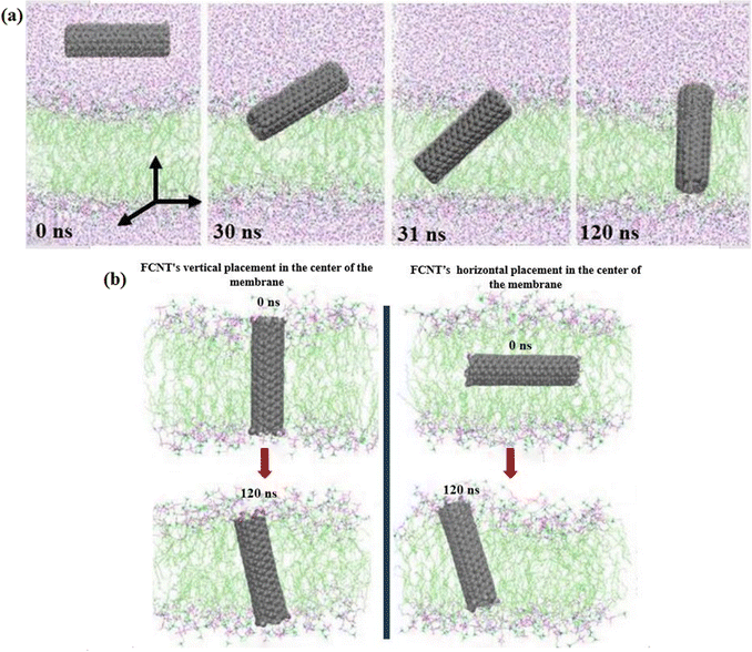 image file: d5ma01079a-f6.tif