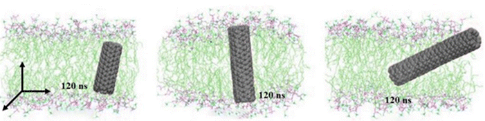 image file: d5ma01079a-f7.tif