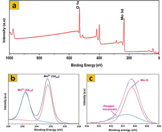 image file: d5ma01084e-f6.tif