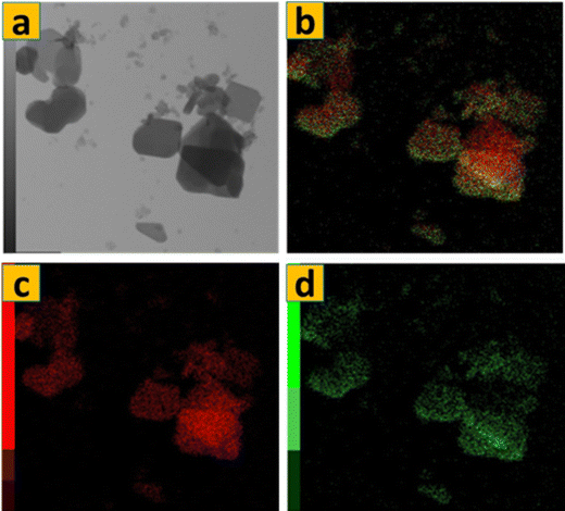 image file: d5ma01084e-f8.tif