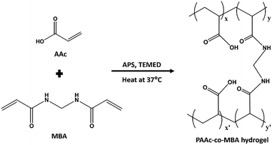 image file: d5ma01115a-s1.tif
