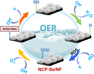 image file: d5ma01125f-s2.tif