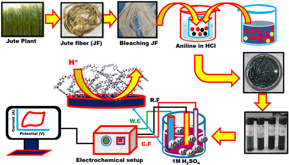 image file: d5ma01144b-s1.tif