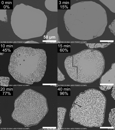 image file: d5ma01165e-f4.tif